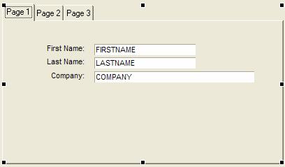 Ug Tabbed Control W Fields